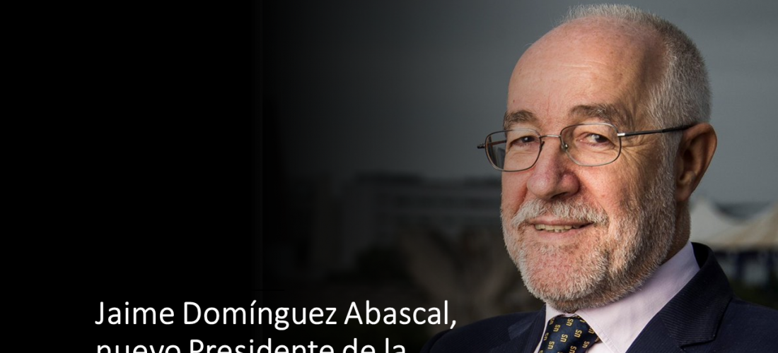 La Real Academia de Ingeniería ha elegido a Jaime Domínguez Abascal como nuevo presidente
